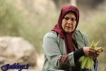 اصلا از طراحی لباسم در آنام راضی نیستم / مهرانه مهین ترابی