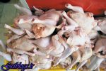 مرغ کامل تازه کیلویی چند؟